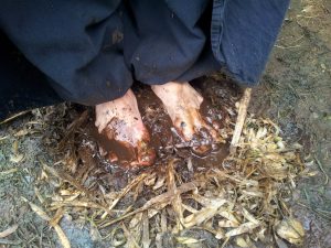 die Vertriebenen - Wetterfest