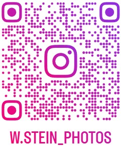 https://www.instagram.com/w.stein_photos?utm_source=ig_web_button_share_sheet&igsh=ZDNlZDc0MzIxNw==